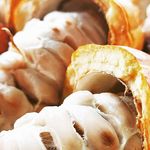 David Yaeger - @east_maui_chocolate - Instagram