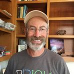David Yaffe - Facebook
