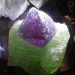 David Yang - @yang_kc_ - Instagram