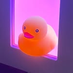 David Yang - @dav1dyang - Instagram