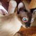 David Yonkin - Facebook