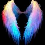 David Yuen - Facebook