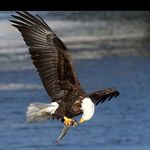 David Yunker - @yunkerimages - Instagram