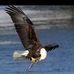 David Yunker - Facebook