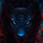 ZAISER DAVID OSMAR - @zaiserdavid - Instagram