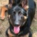 David Zanni - Facebook