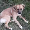 davidezanni09 - @davidezanni09 - TikTok