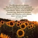 David Zehle - @zehledavid - Instagram