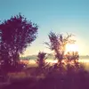 David Zehr316 - @davidzehr316 - TikTok
