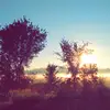 David Zehr316 - @davidzehr316 - TikTok