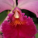 David Zoller - @dave8887666 - Instagram