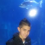 Davide Marongiu - @davidemarongiu_06 - Instagram