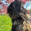 Davidson Joseph - @davidson.joe19 - TikTok