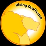 Davina Lyons - @the_resilient_teen - Instagram