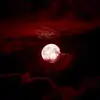Davina - @davinamoonlight_ - TikTok