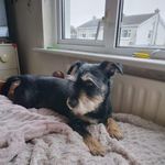 Davina Murphy - @davina.murphy1 - Instagram
