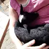 Davina Wright - @davina.wright2 - TikTok