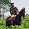 davinder Brar - @brardavinderbrar - TikTok