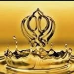 Davinder Hayer Bassi - @bassidavinder - Instagram