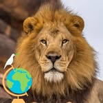 Davinder Kang - @kang26740 - Instagram