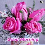 dinesh nanda - @davindernanda36 - Instagram