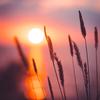 Davinder Rehal - @davinder.rehal - TikTok
