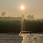 Davinder Singh Rehal - @rehaldavindersingh - Instagram