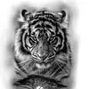 Davindersehmi - @davindersehmi4131 - TikTok