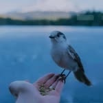 Davinder Sharma - @davindersharma0005 - Instagram