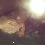 Davion carter - @davion744 - Instagram