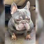 Davion Carter - @quality_control__exotics_ - Instagram