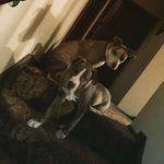 Davion turner - @pinkratboy80 - Instagram