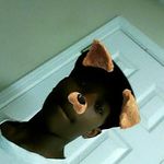 davion. williams - @davion.williams123 - Instagram