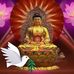 Davis Bui - Facebook