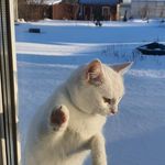 Davis freeman - @davisfreeman56 - Instagram