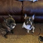 Debbie Davis Graves - @tucker_boy23 - Instagram