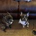 Debbie Davis Graves - Facebook