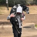 @davisgray.5 - Instagram