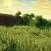 Davis Green - Facebook