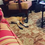 Davis Hahn - @devoduck - Instagram