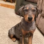 Davis Hanson - Facebook