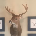 Davis Harris - @davis_harris22 - Instagram