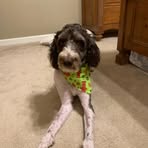 Davis Haynes - Facebook