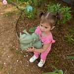 Mary Davis Haynes - @maryhaynesig - Instagram