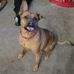 Davis Ho - Facebook