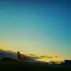 davishoffmann10 - @davishoffmann - TikTok