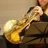 Beth Davis - @bethdavishorn - TikTok