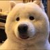 Davis Huang - Facebook