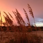 Davis mechell Johnston - @davis_johnston - Instagram