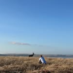 Davis keller - @leafspringsandcaviar - Instagram